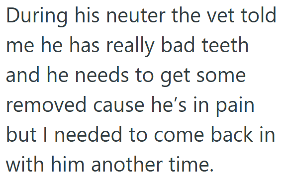 During his neuter the vet told me he has really bad teeth and he needs to get some removed cause he's in pain but I needed to come back in with him another time.