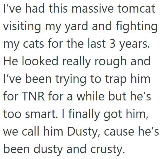 I've had this massive tomcat visiting my yard and fighting my cats for the last 3 years. He looked really rough and I've been trying to trap him for TNR for a while but he's too smart. I finally got him, we call him Dusty, cause he's been dusty and crusty.