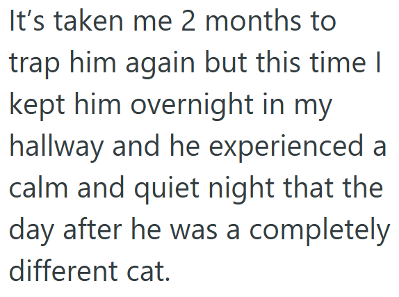 It's taken me 2 months to trap him again but this time I kept him overnight in my hallway and he experienced a calm and quiet night that the day after he was a completely different cat.