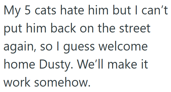 My 5 cats hate him but I can't put him back on the street again, so I guess welcome home Dusty. We'll make it work somehow.