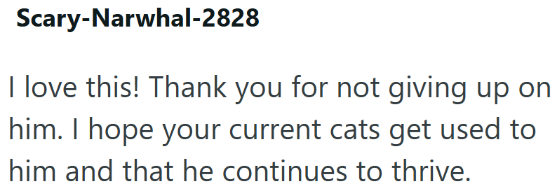 Scary-Narwhal-2828 I love this! Thank you for not giving up on him. I hope your current cats get used to him and that he continues to thrive.