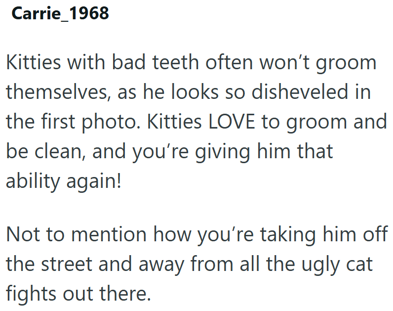 Carrie_1968 Kitties with bad teeth often won't groom themselves, as he looks so disheveled in the first photo. Kitties LOVE to groom and be clean, and you're giving him that ability again! Not to mention how you're taking him off the street and away from all the ugly cat fights out there.