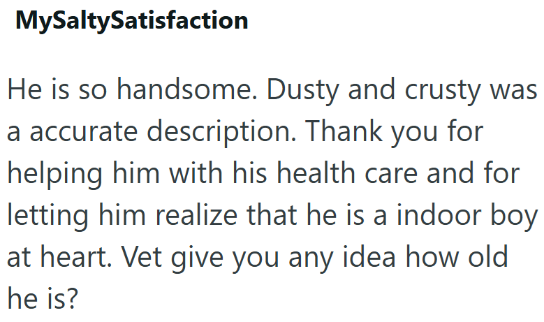 MySaltySatisfaction He is so handsome. Dusty and crusty was a accurate description. Thank you for helping him with his health care and for letting him realize that he is a indoor boy at heart. Vet give you any idea how old he is?