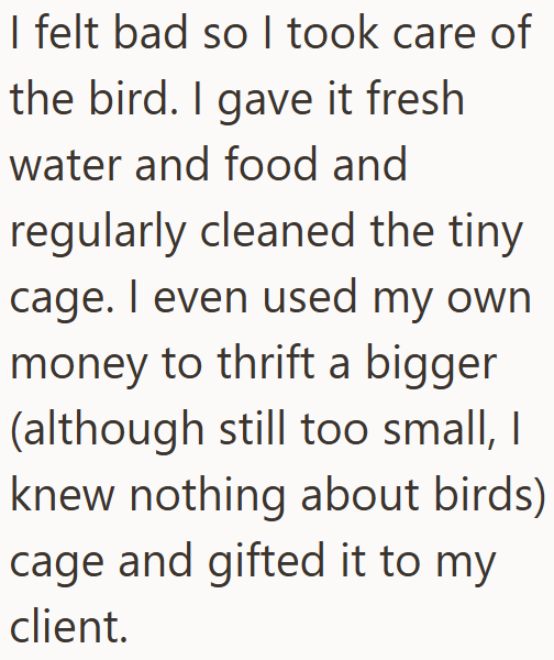 I felt bad so I took care of the bird. I gave it fresh water and food and regularly cleaned the tiny cage. I even used my own money to thrift a bigger (although still too small, I knew nothing about birds) cage and gifted it to my client.