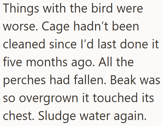 Things with the bird were worse. Cage hadn't been cleaned since I'd last done it five months ago. All the perches had fallen. Beak was so overgrown it touched its chest. Sludge water again.
