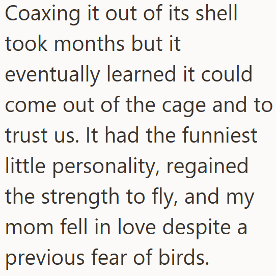 Coaxing it out of its shell took months but it eventually learned it could come out of the cage and to trust us. It had the funniest little personality, regained the strength to fly, and my mom fell in love despite a previous fear of birds.