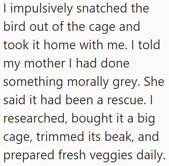 I impulsively snatched the bird out of the cage and took it home with me. I told my mother I had done something morally grey. She said it had been a rescue. I researched, bought it a big cage, trimmed its beak, and prepared fresh veggies daily.