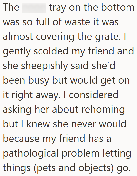 The tray on the bottom was so full of waste it was almost covering the grate. I gently scolded my friend and she sheepishly said she'd been busy but would get on it right away. I considered asking her about rehoming but I knew she never would because my friend has a pathological problem letting things (pets and objects) go.