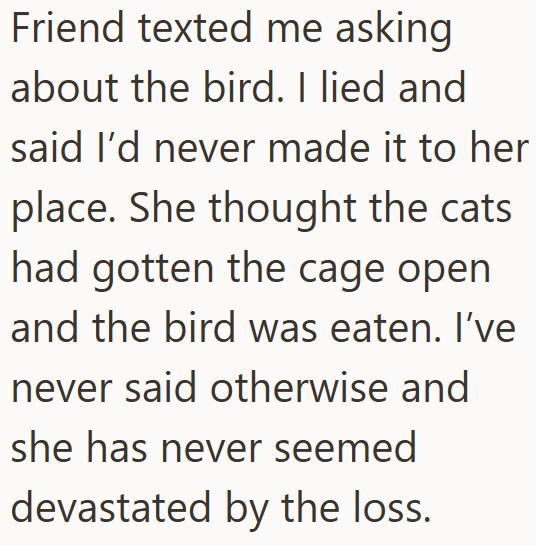 Friend texted me asking about the bird. I lied and said I'd never made it to her place. She thought the cats had gotten the cage open and the bird was eaten. I've never said otherwise and she has never seemed devastated by the loss.