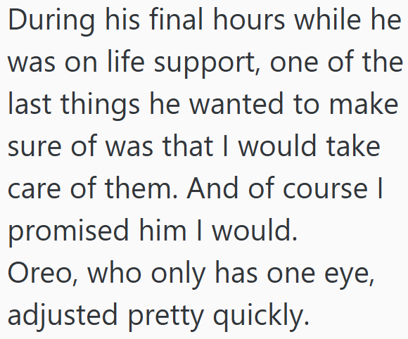 During his final hours while he was on life support, one of the last things he wanted to make sure of was that I would take care of them. And of course I promised him I would. Oreo, who only has one eye, adjusted pretty quickly.