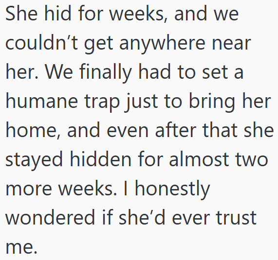 She hid for weeks, and we couldn't get anywhere near her. We finally had to set a humane trap just to bring her home, and even after that she stayed hidden for almost two more weeks. I honestly wondered if she'd ever trust me.