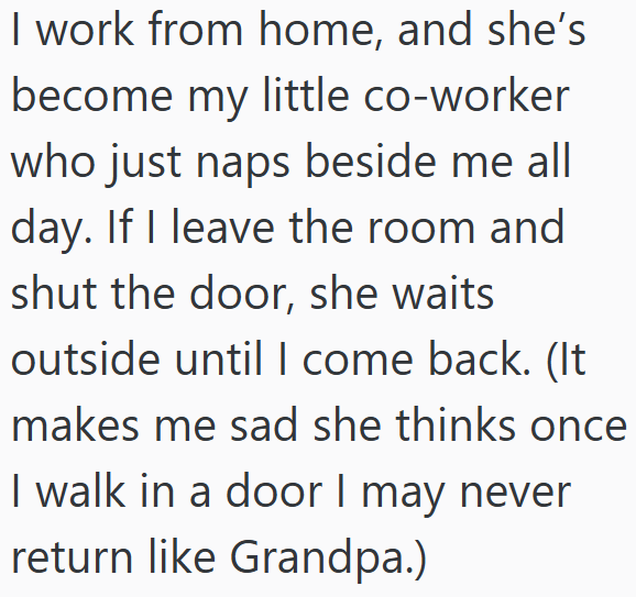 I work from home, and she's become my little co-worker who just naps beside me all day. If I leave the room and shut the door, she waits outside until I come back. (It makes me sad she thinks once I walk in a door I may never return like Grandpa.)