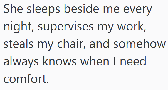 She sleeps beside me every night, supervises my work, steals my chair, and somehow always knows when I need comfort.