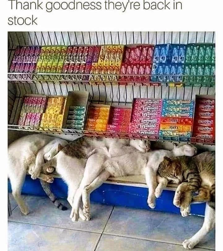 Thank goodness they're back in stock 465535