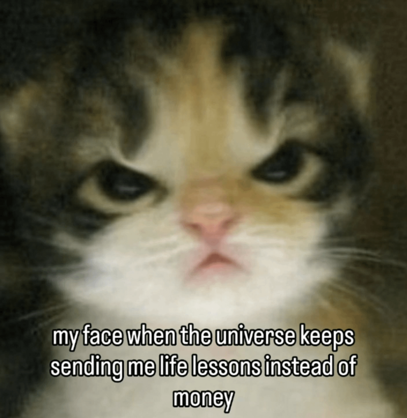 my face when the universe keeps sending me life lessons instead of money