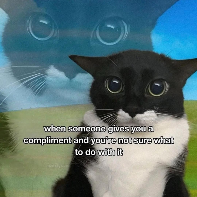 when someone gives you a compliment and you're not sure what @nglyawn to do with it