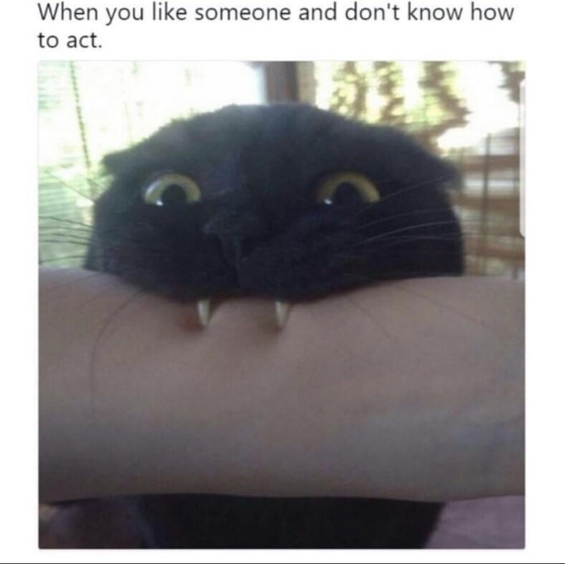 When you like someone and don't know how to act.