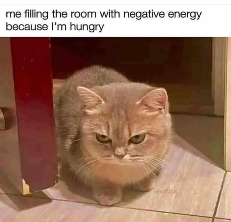 me filling the room with negative energy because I'm hungry Hedda