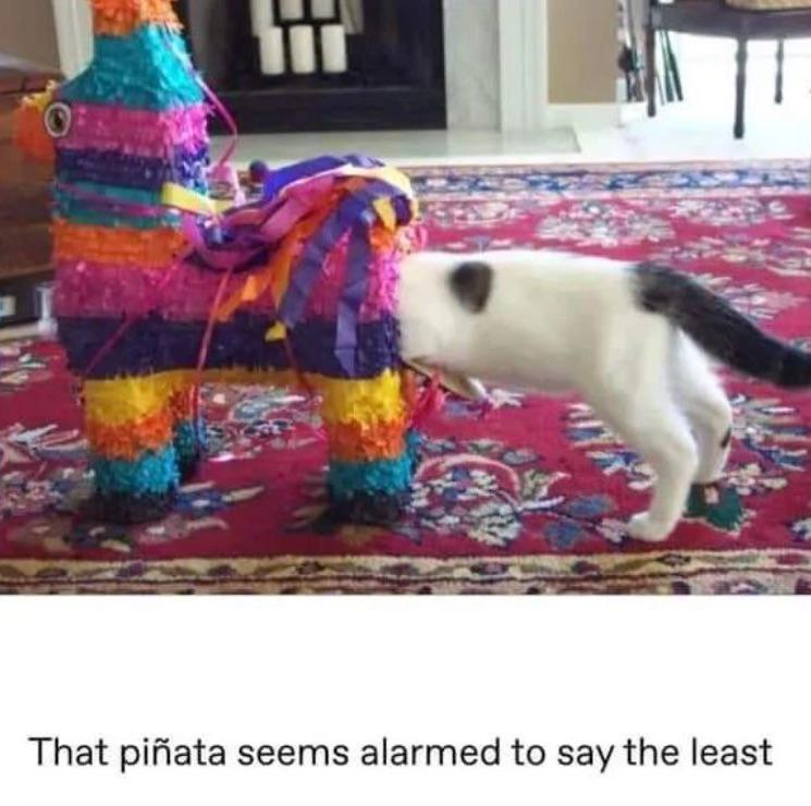 That piñata seems alarmed to say the least