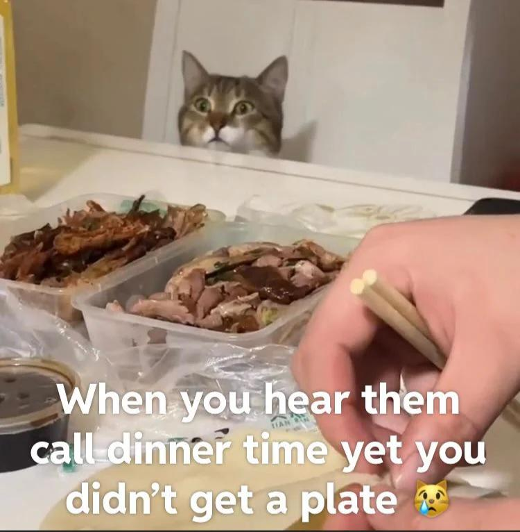 When you hear them call dinner time yet you didn't get a plate