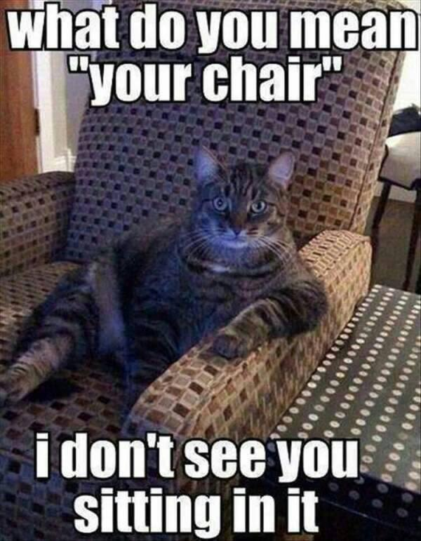 what do you mean "your chair" i don't see you sitting in it