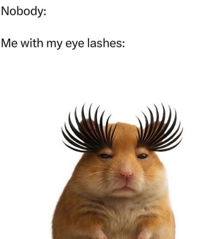 Nobody: Me with my eye lashes: