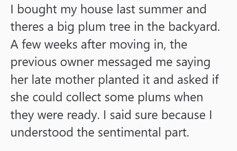 I bought my house last summer and theres a big plum tree in the backyard. A few weeks after moving in, the previous owner messaged me saying her late mother planted it and asked if she could collect some plums when they were ready. I said sure because I understood the sentimental part.