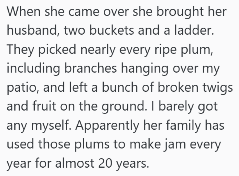 When she came over she brought her husband, two buckets and a ladder. They picked nearly every ripe plum, including branches hanging over my patio, and left a bunch of broken twigs and fruit on the ground. I barely got any myself. Apparently her family has used those plums to make jam every year for almost 20 years.