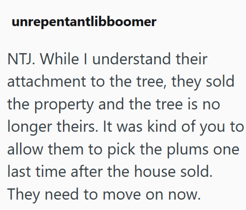 unrepentantlibboomer NTJ. While I understand their attachment to the tree, they sold the property and the tree is no longer theirs. It was kind of you to allow them to pick the plums one last time after the house sold. They need to move on now.
