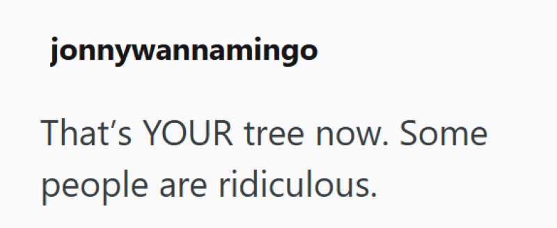 jonnywannamingo That's YOUR tree now. Some people are ridiculous.