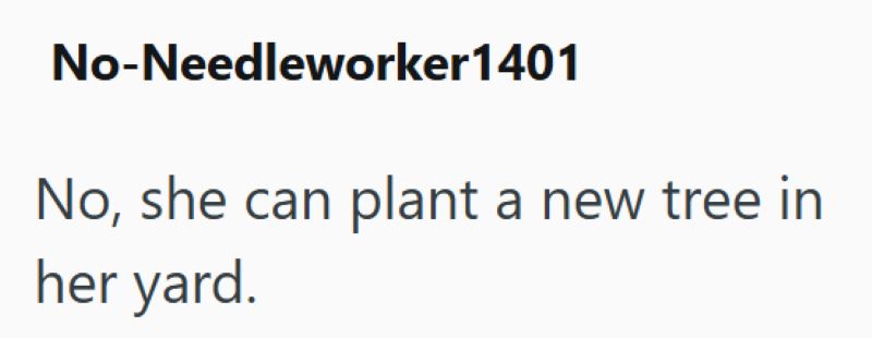 No-Needleworker 1401 No, she can plant a new tree in her yard.