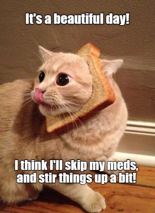 Cheezburger Image 10647570944