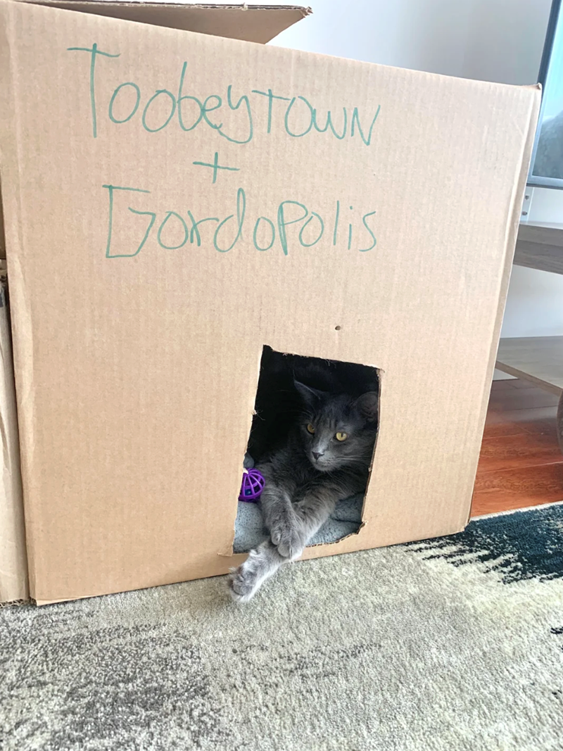 Toobeytown + GordoPolis