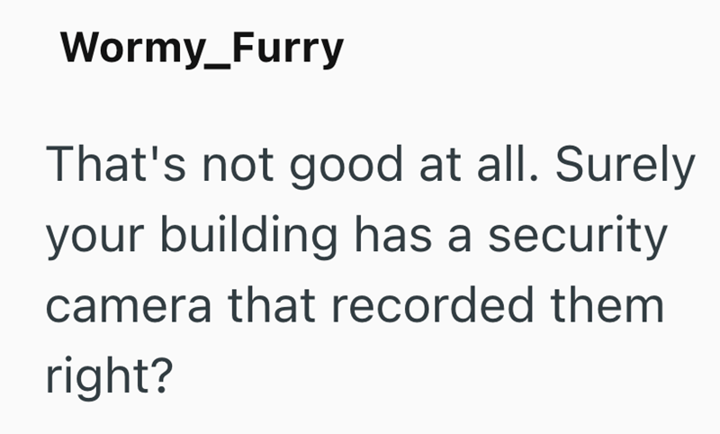 Wormy_Furry That's not good at all. Surely your building has a security camera that recorded them right?