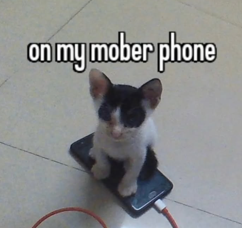 on my mober phone