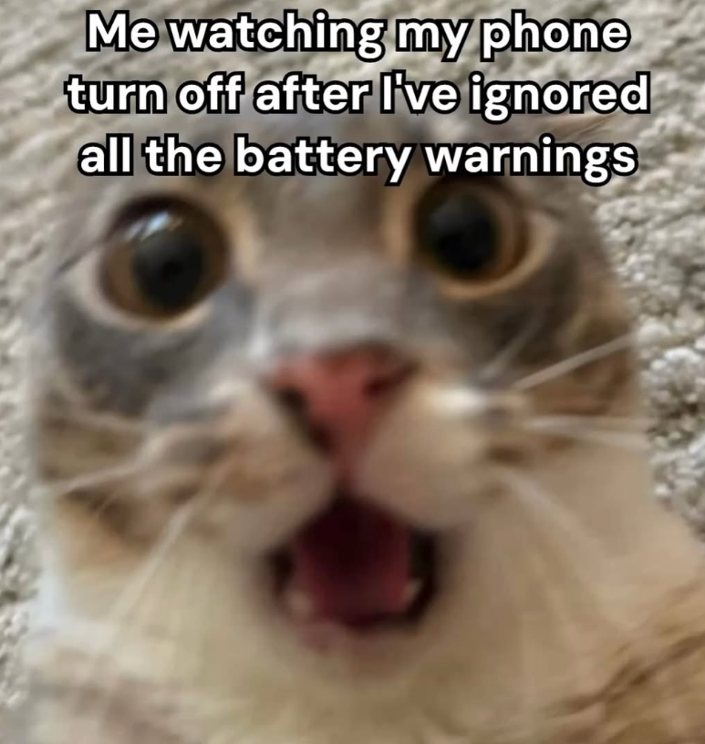 Me watching my phone turn off after I've ignored all the battery warnings