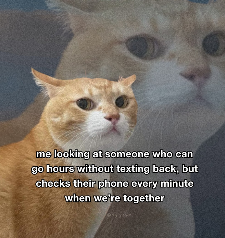 me looking at someone who can go hours without texting back, but checks their phone every minute when we're together @ngiyawn