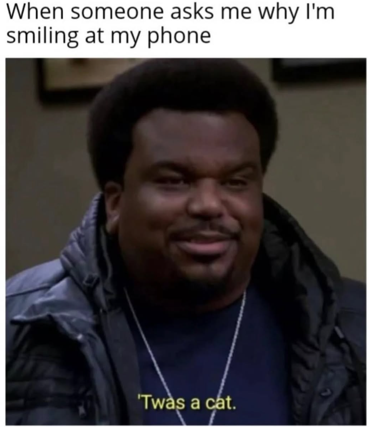 When someone asks me why I'm smiling at my phone 'Twas a cat.