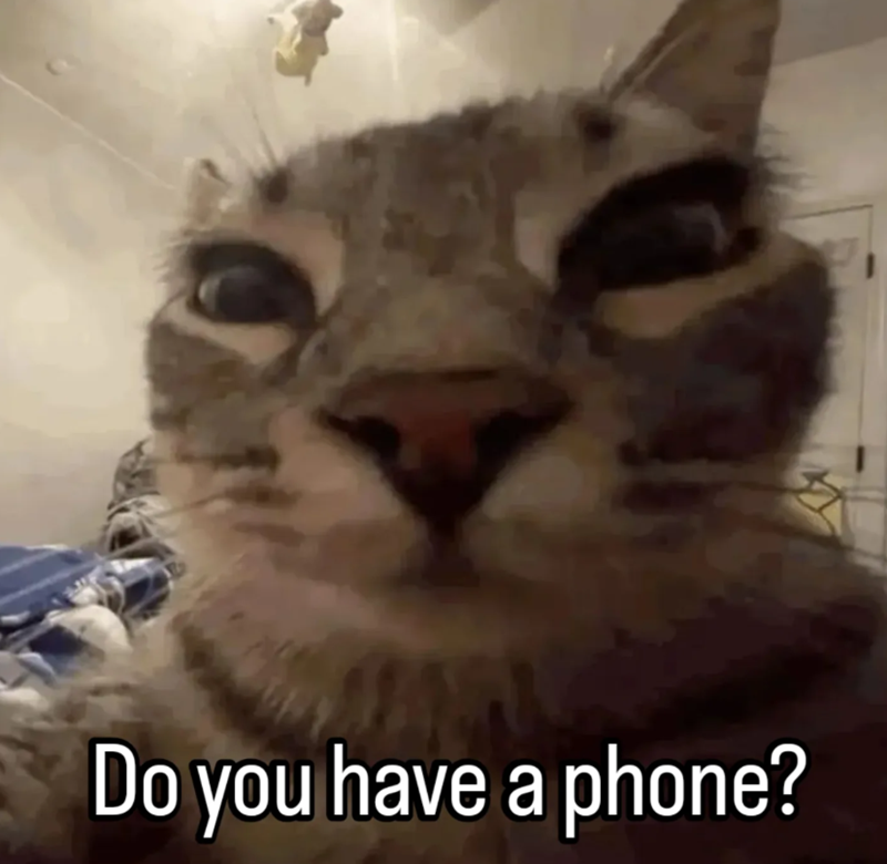 Do you have a phone?