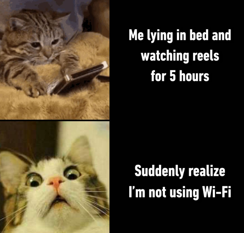 Me lying in bed and watching reels for 5 hours Suddenly realize I'm not using Wi-Fi