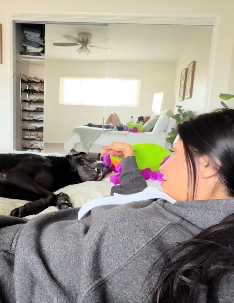 Shelter Dog Gets Reunited with his Favorite Toy