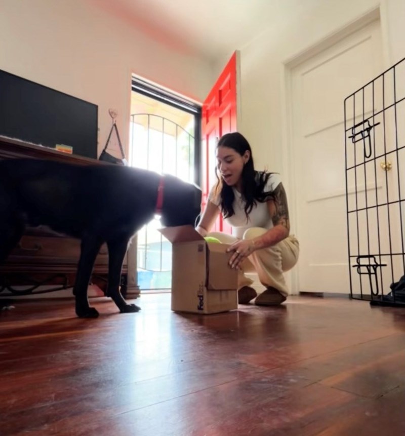 Shelter Dog Gets Reunited with his Favorite Toy