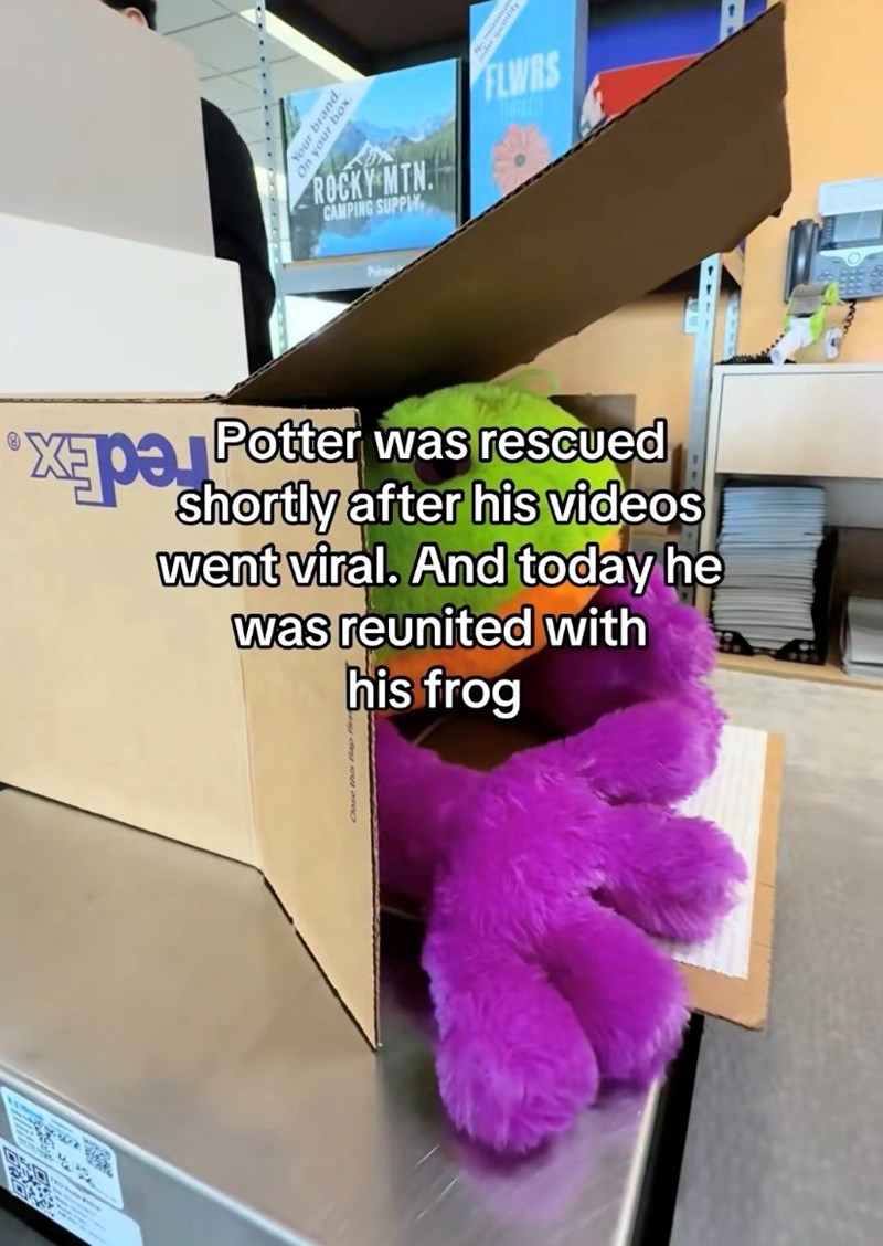Shelter Dog Gets Reunited with his Favorite Toy