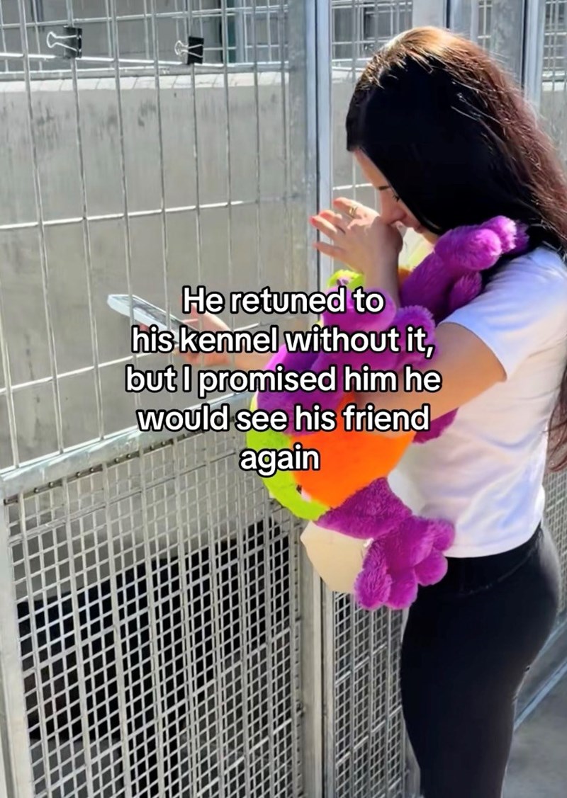 Shelter Dog Gets Reunited with his Favorite Toy
