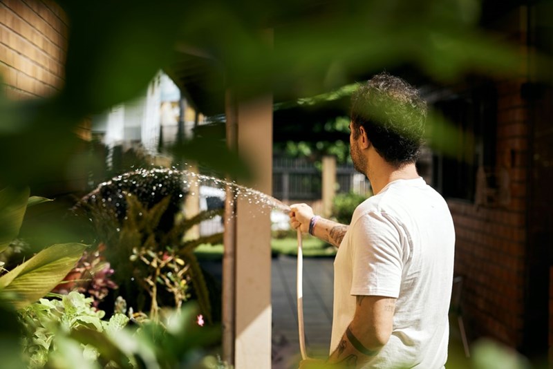 A neighbor uses a hose, seen from a covert angle behind some bushes