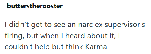 butterstherooster I didn't get to see an narc ex supervisor's firing, but when I heard about it, I couldn't help but think Karma.