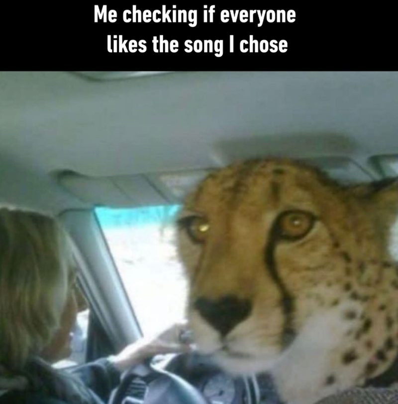 Me checking if everyone likes the song I chose