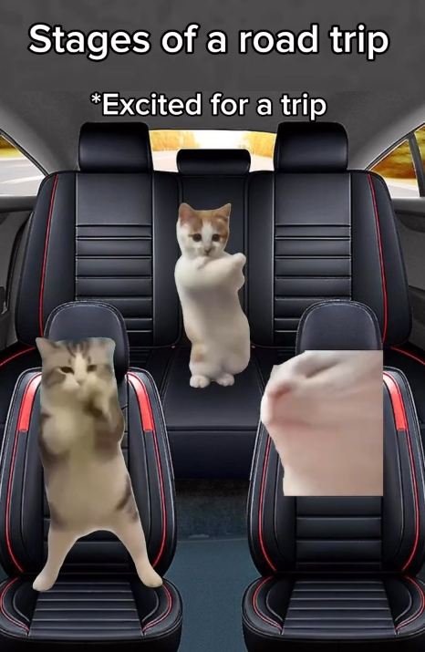 Stages of a road trip *Excited for a trip