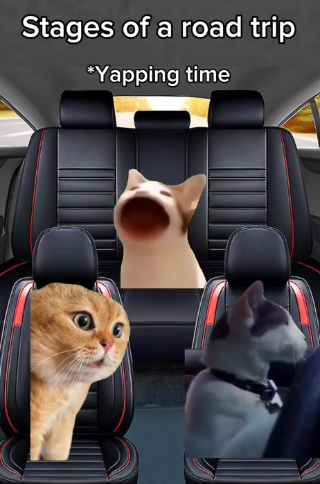 Stages of a road trip *Yapping time