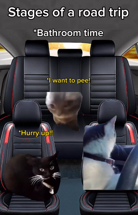 Stages of a road trip *Bathroom time *Hurry up!! want to pee!